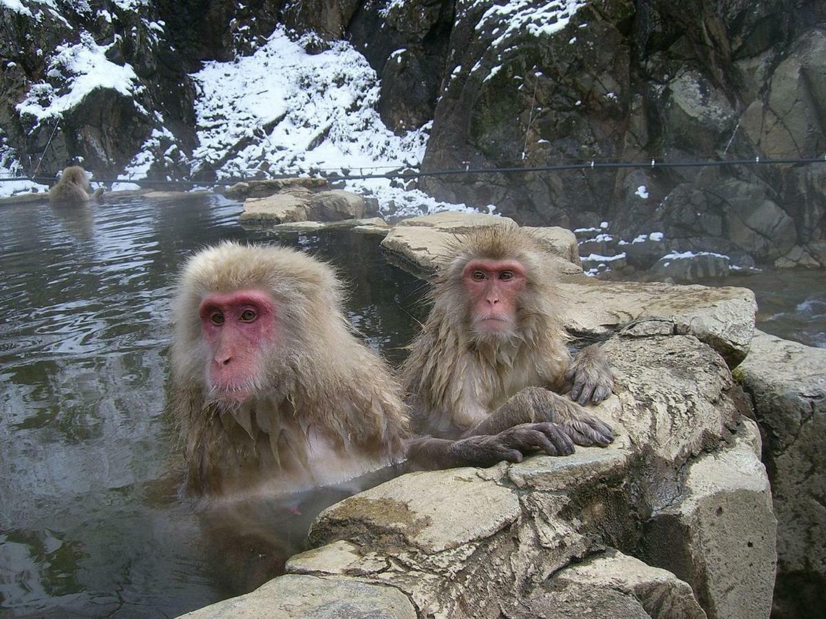 Lodge Jun Hakuba Bagian luar foto
